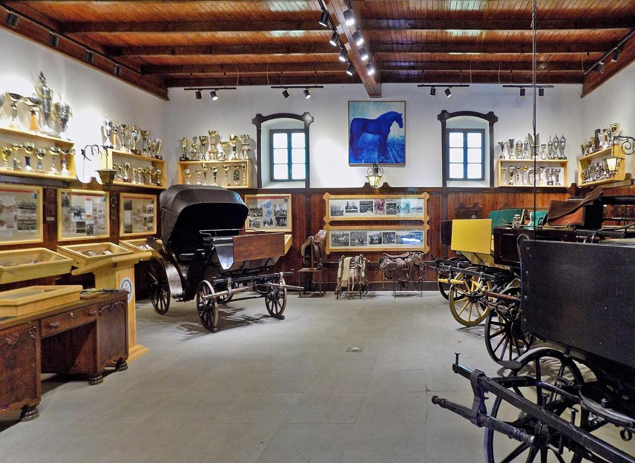 B&B Bela Vrba Backo Novo Selo Bagian luar foto
